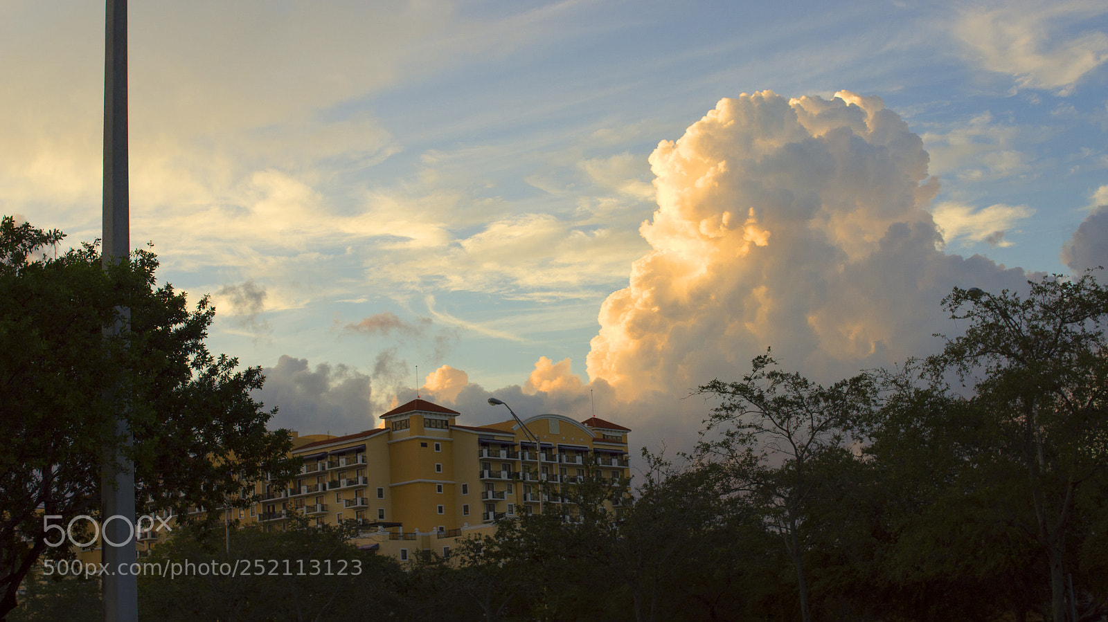 Sony SLT-A55 (SLT-A55V) sample photo. Untitled photography