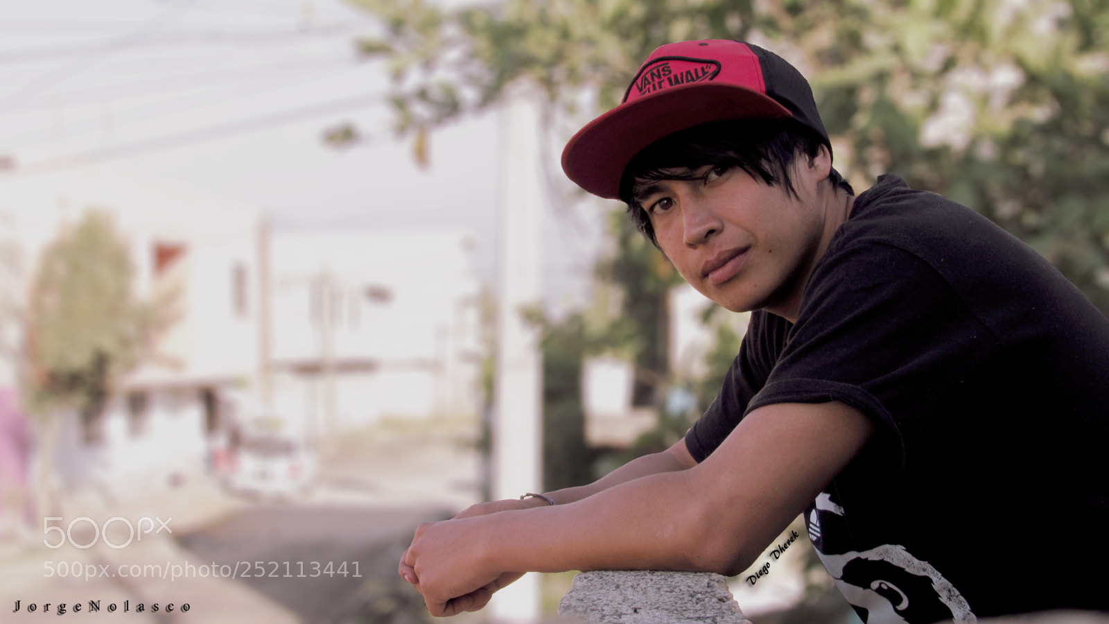 Canon PowerShot SX530 HS sample photo. Diegodherek photography