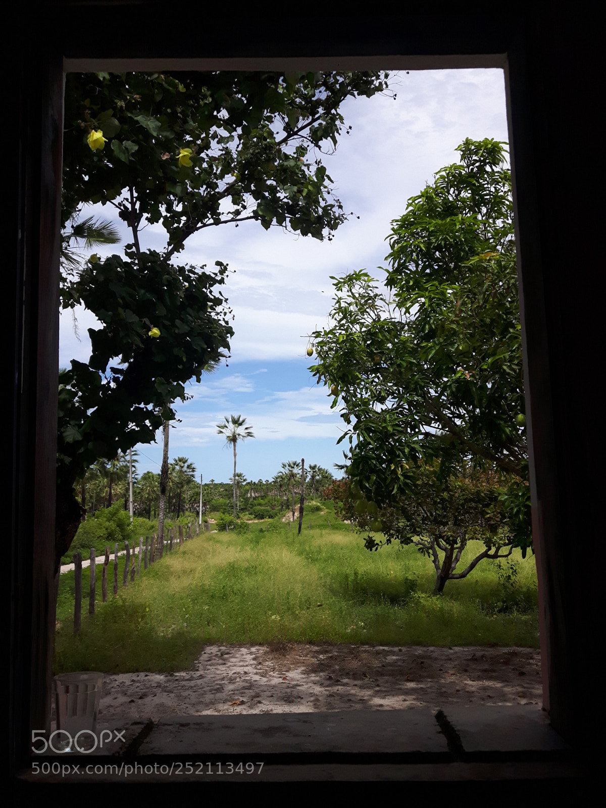 Samsung Galaxy S5 Neo sample photo. Beleza do ceará photography