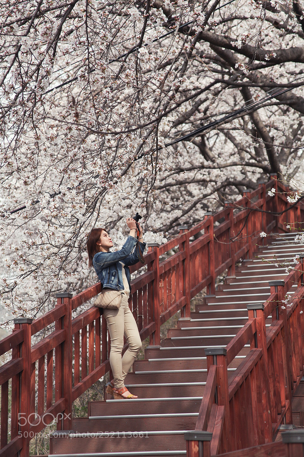 Canon EOS 5D Mark II sample photo. Spring photography
