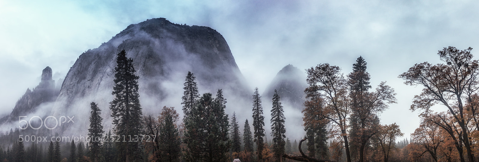 Canon EOS 5D Mark II sample photo. Foggy el capitan meadow photography