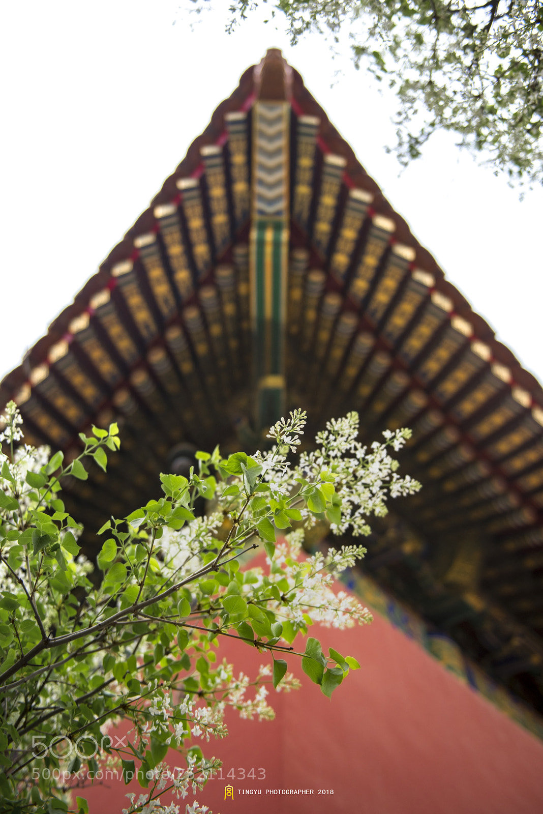 Nikon D810 sample photo. Untitled photography