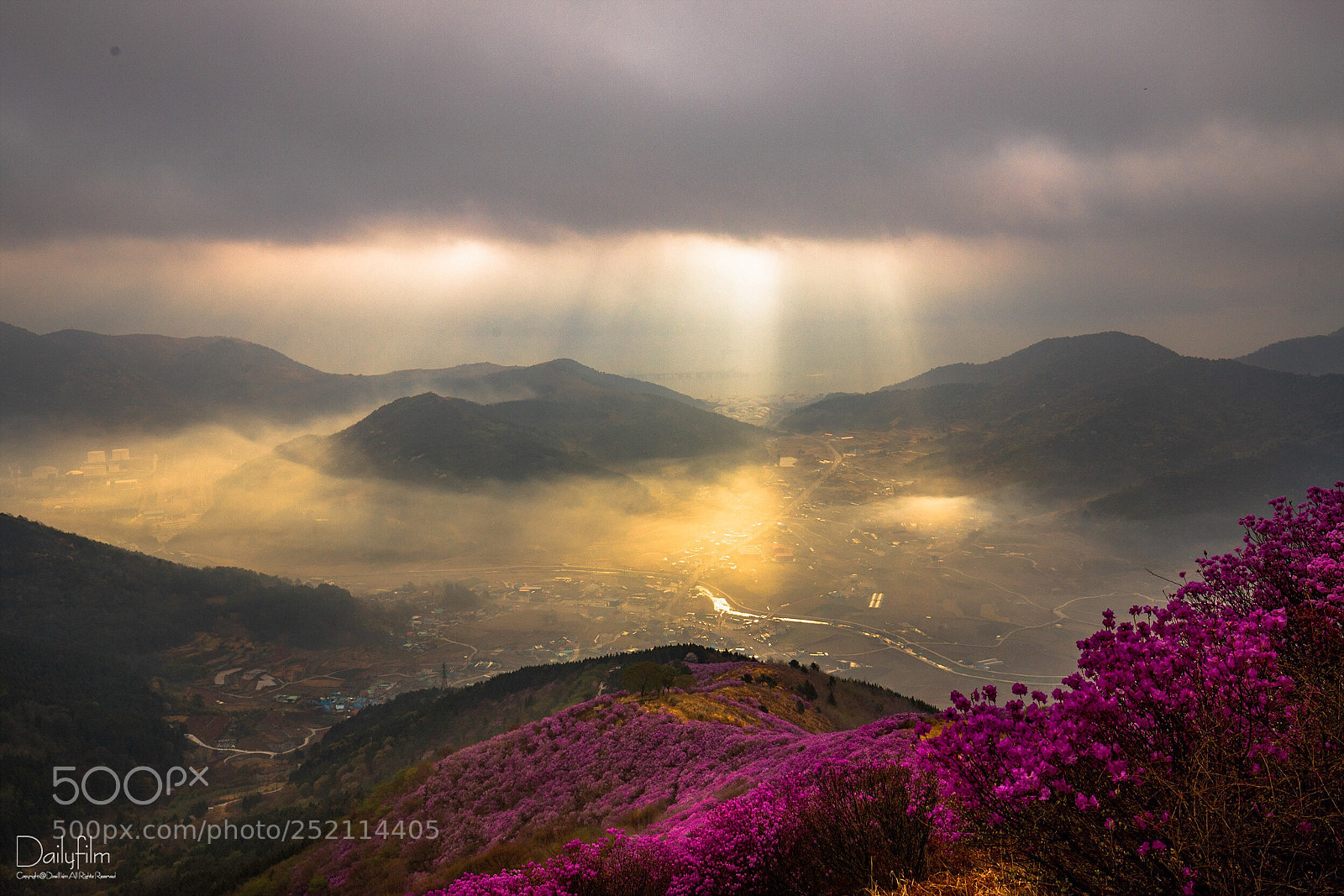 Canon EOS 6D Mark II sample photo. Azalea mountain  photography