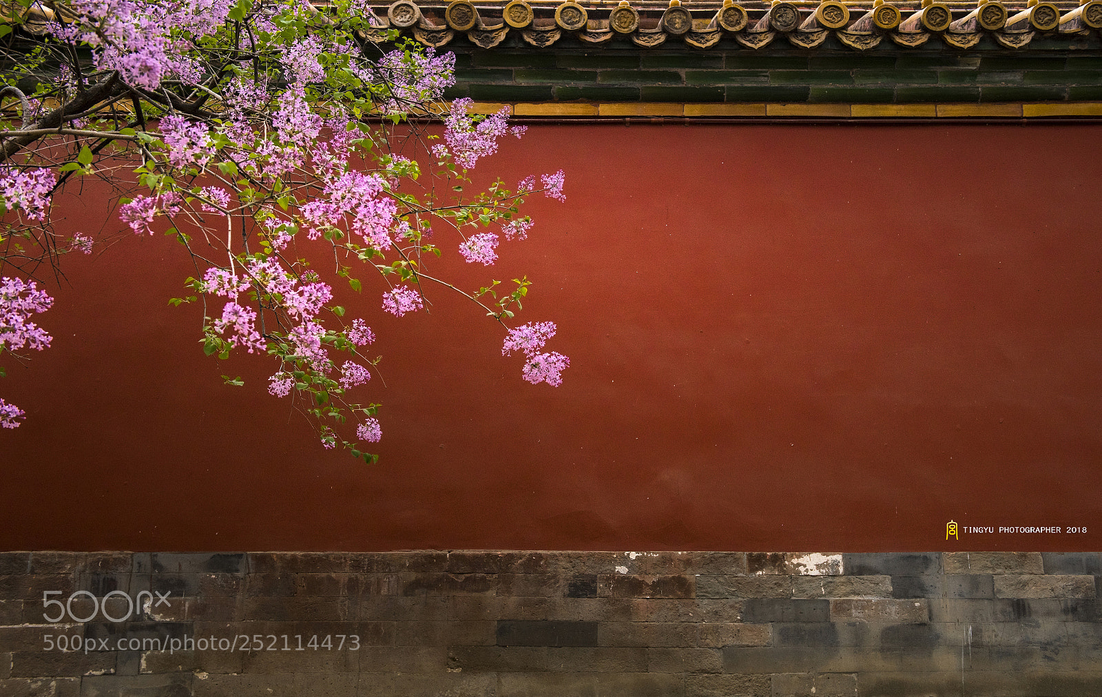 Nikon D810 sample photo. Untitled photography