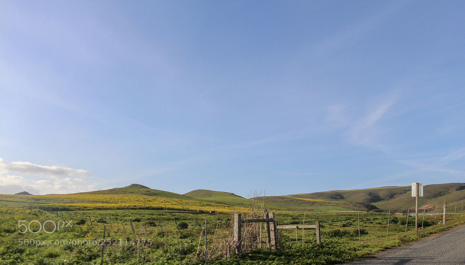 Canon EOS 700D (EOS Rebel T5i / EOS Kiss X7i) sample photo. Little yellow little blue photography