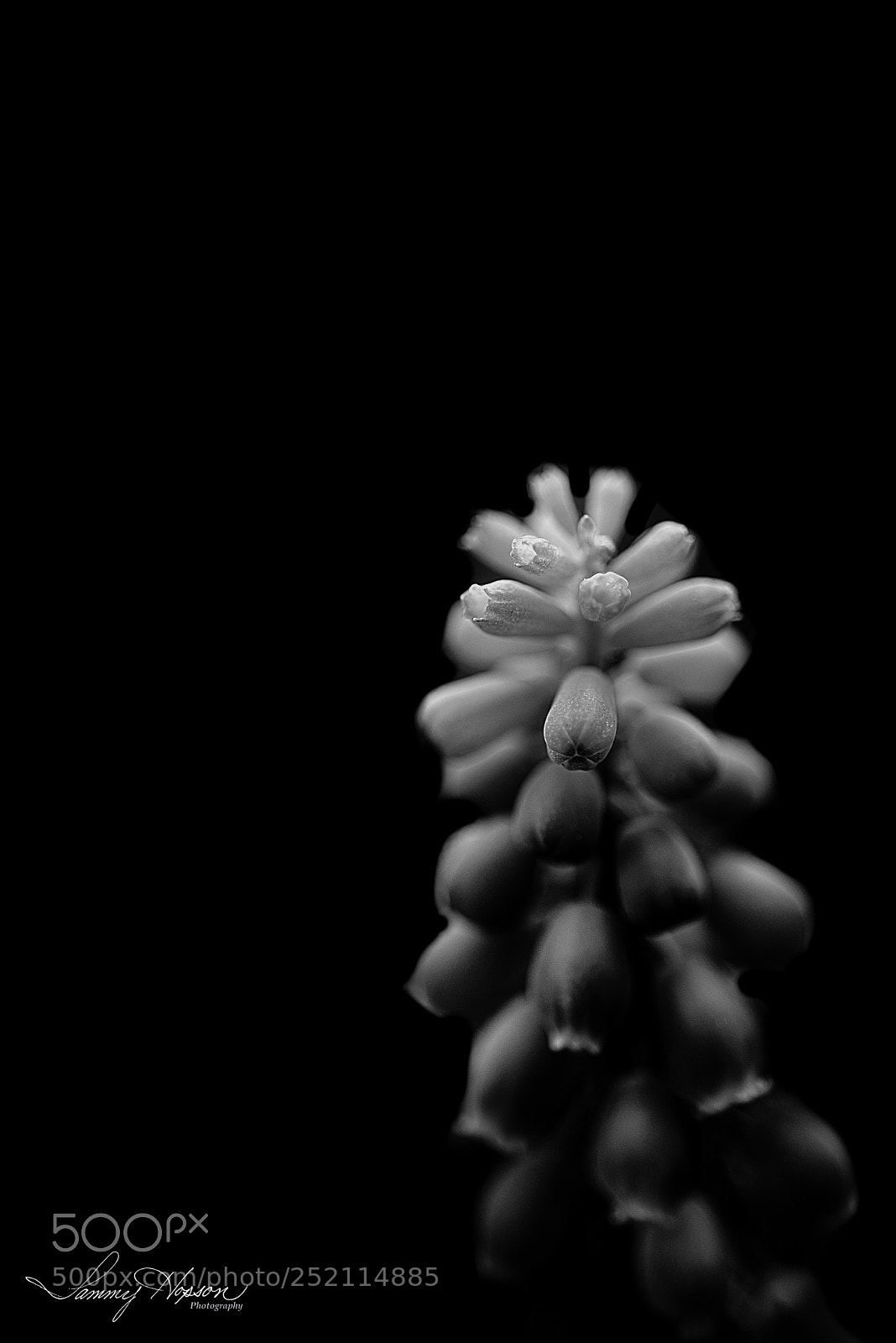 Nikon D800 sample photo. Out of the darkness photography