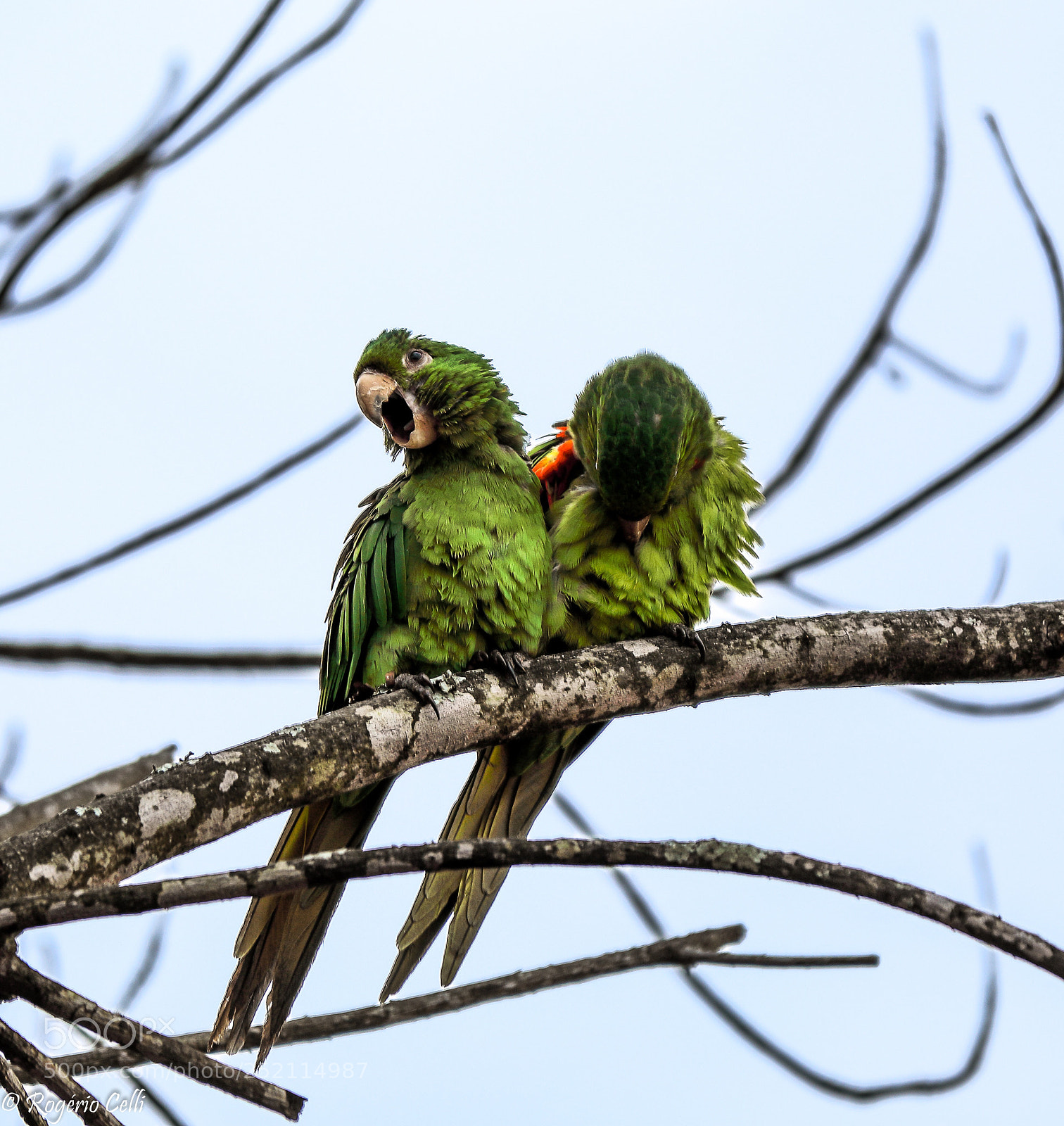 Canon EOS 5D Mark IV sample photo. Nature vibes | the couple photography