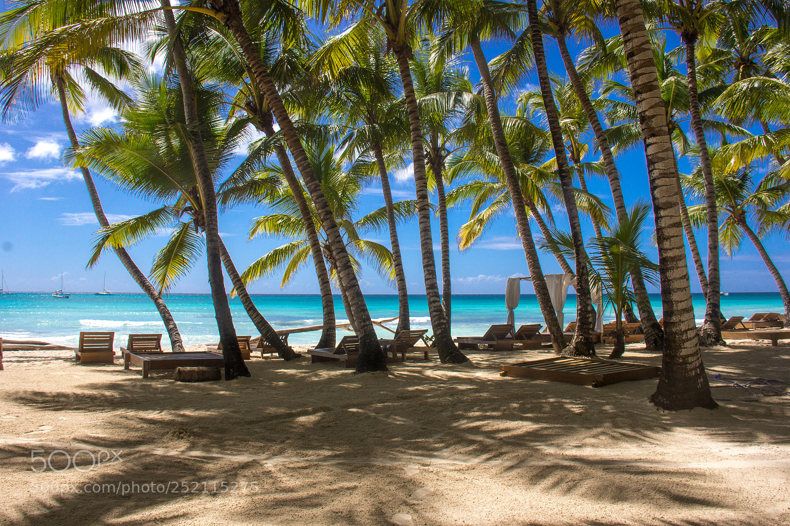 Canon EOS 60D sample photo. Tropical bliss 1 photography
