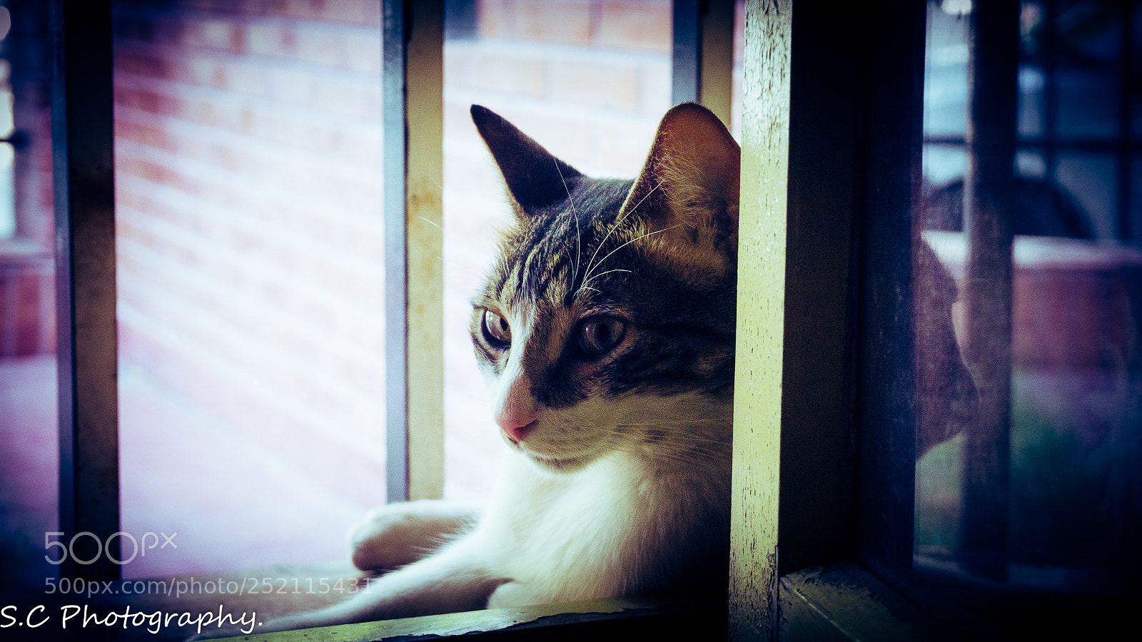 Sony a6000 sample photo. Untitled photography