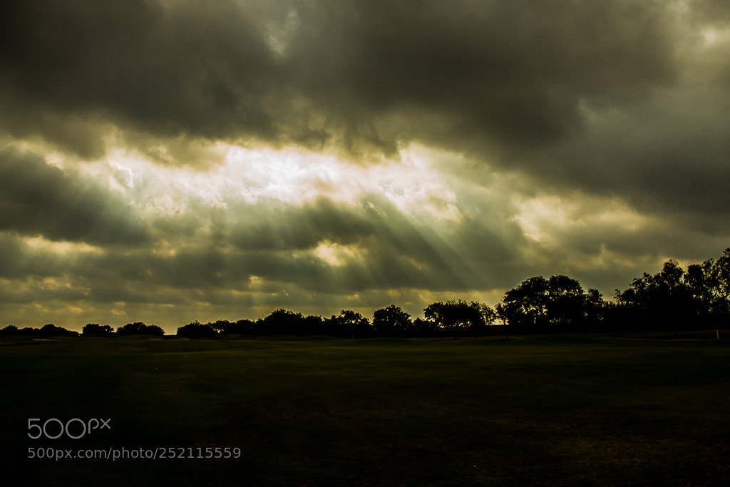 Canon EOS 7D sample photo. Morning rays photography
