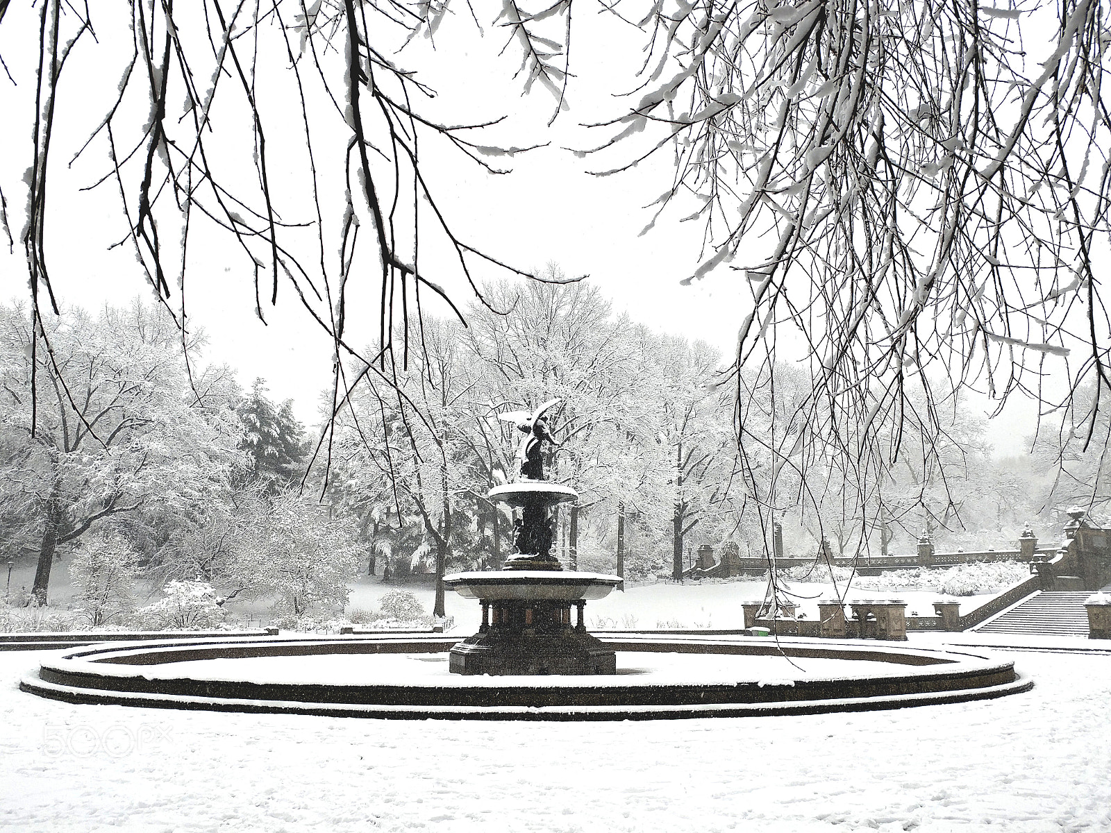 LG V20 sample photo. Central park in white photography
