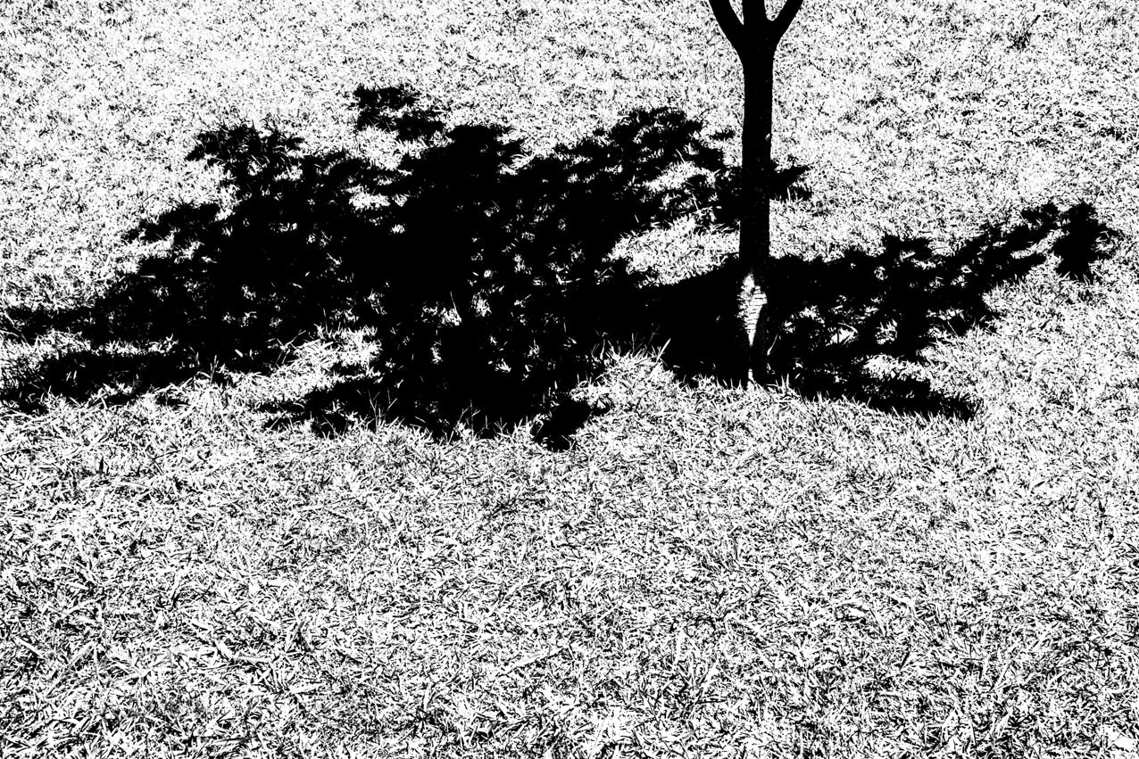 Canon EOS 5D Mark II sample photo. Untitled photography
