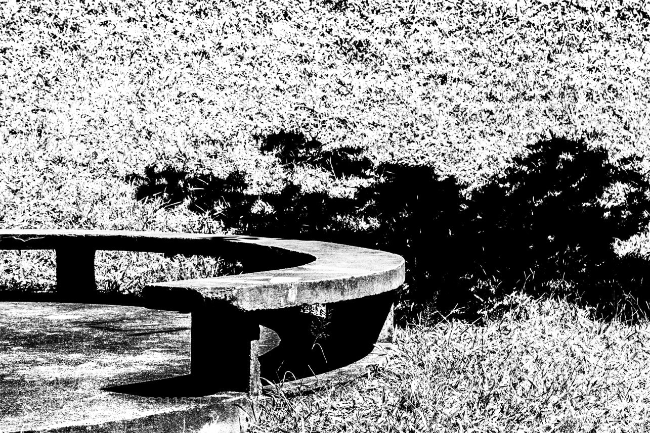 Canon EOS 5D Mark II sample photo. Untitled photography