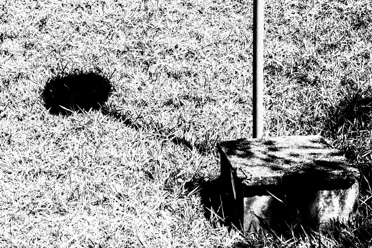 Canon EOS 5D Mark II sample photo. Untitled photography