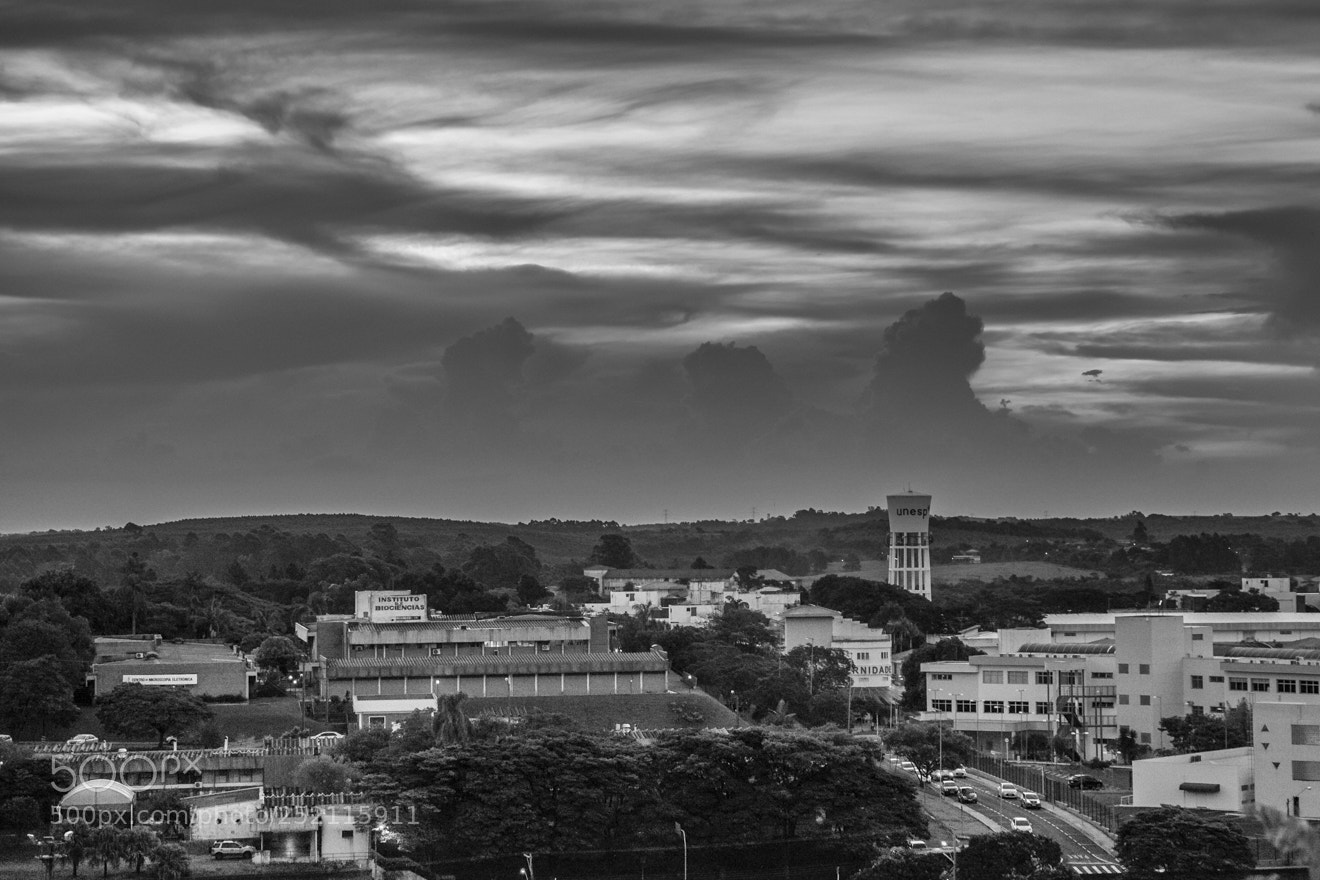 Canon EOS 5D Mark II sample photo. Untitled photography