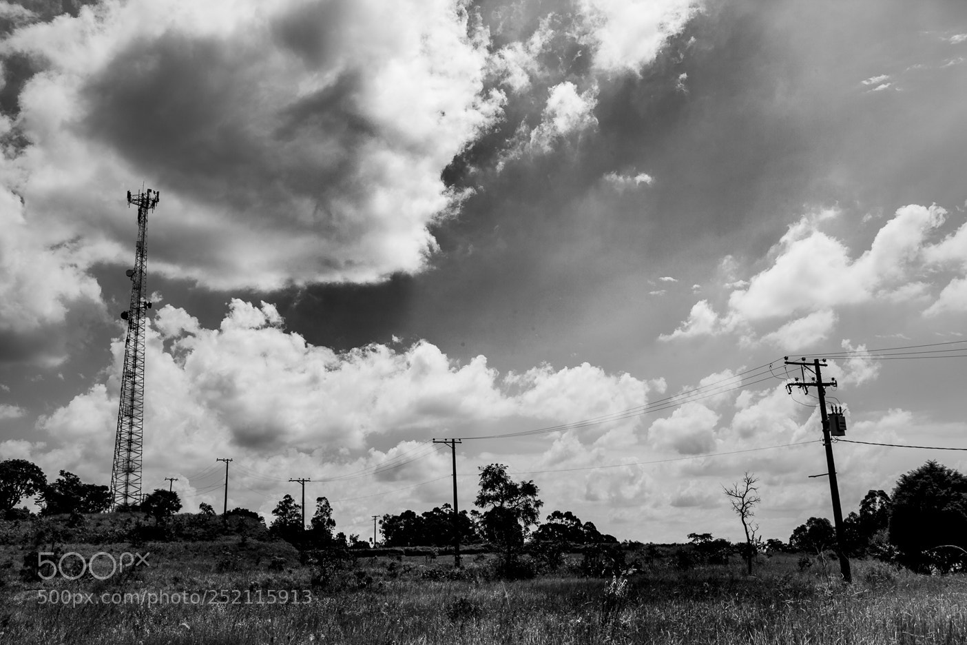 Canon EOS 5D Mark II sample photo. Untitled photography