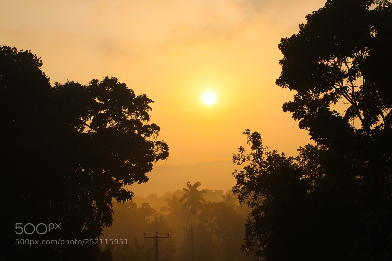 Canon EOS 1300D (EOS Rebel T6 / EOS Kiss X80) sample photo. Sun is coming up photography