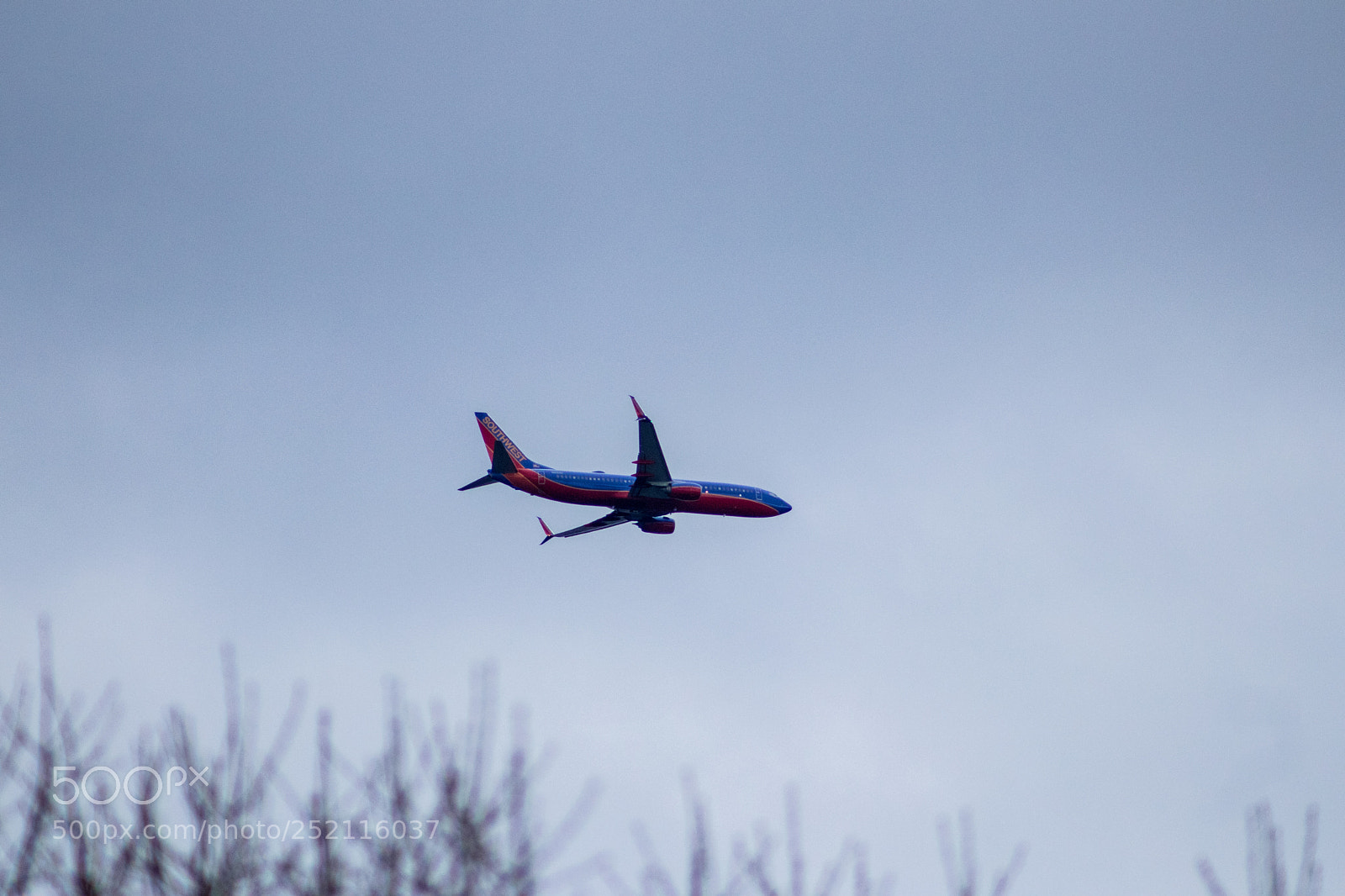 Canon EOS 77D (EOS 9000D / EOS 770D) sample photo. Metal bird photography