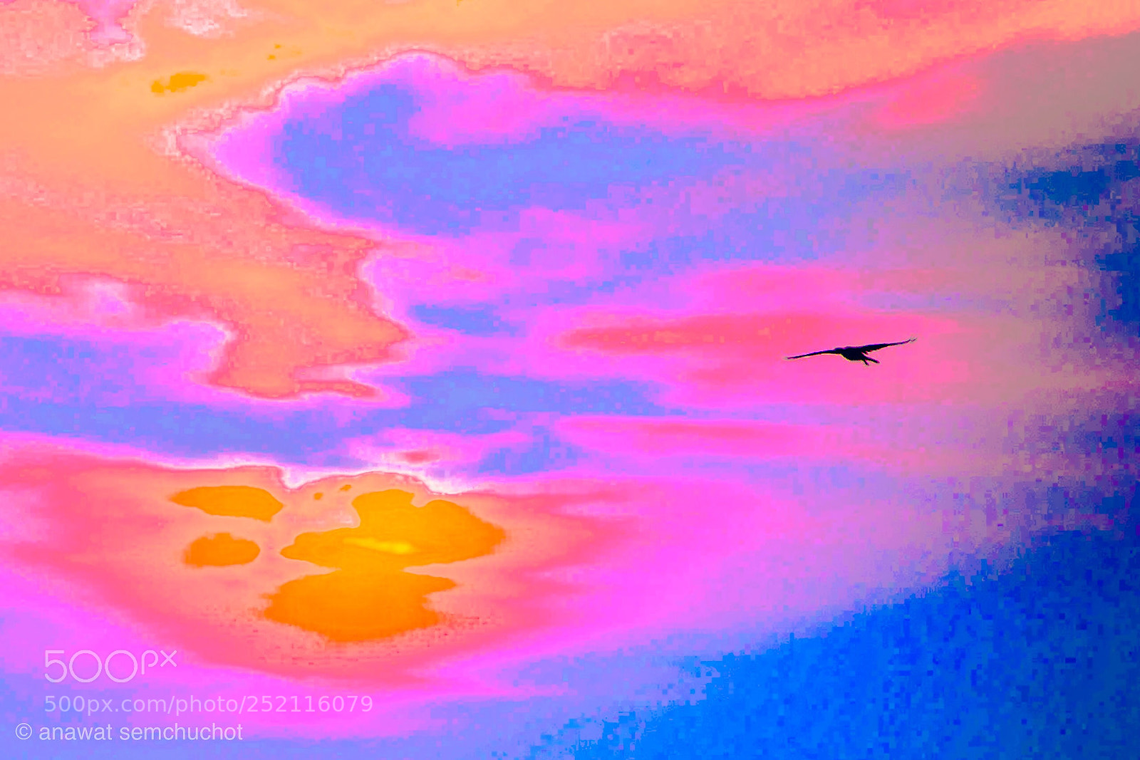 Nikon D800 sample photo. Sun&bird photography