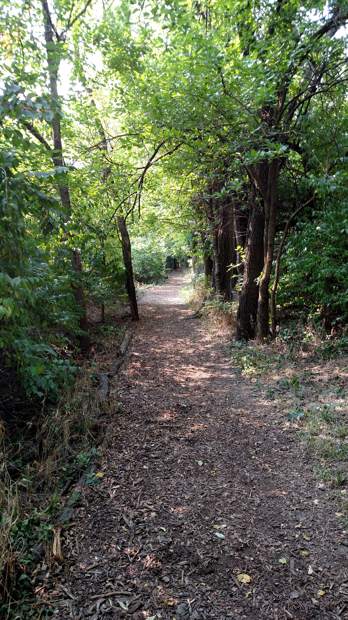 Motorola Droid Turbo sample photo. Img_20170905_105726741.jpg photography