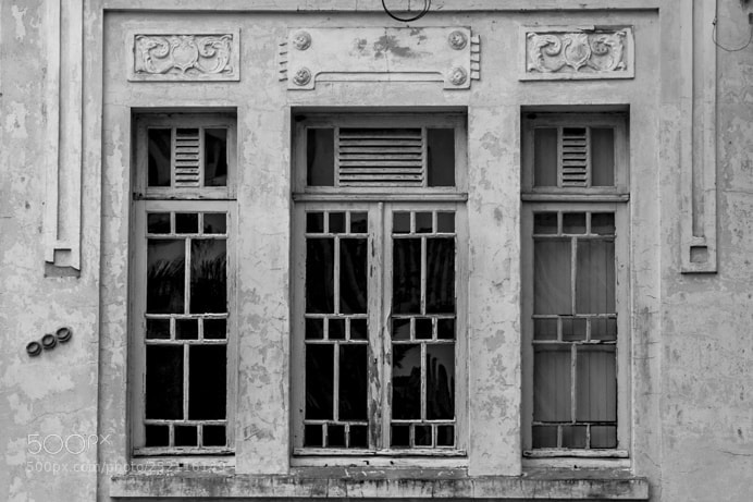 Canon EOS 5D Mark II sample photo. Untitled photography