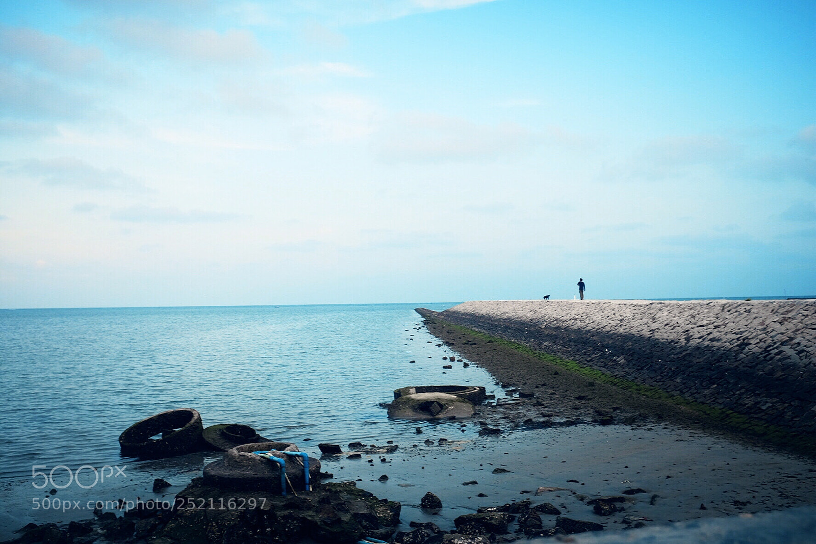 Fujifilm X100T sample photo. Untitled photography