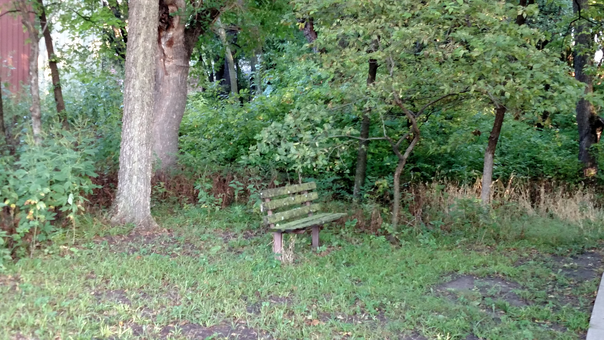 Motorola Droid Turbo sample photo. Img_20150909_082304827.jpg photography