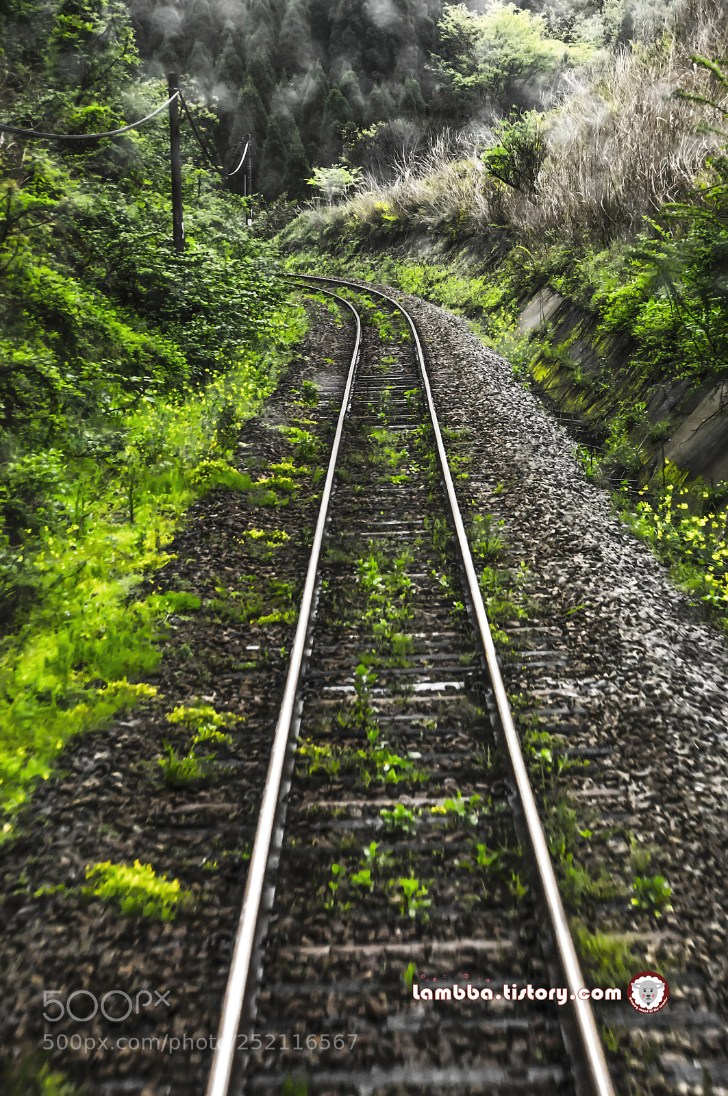 Sony SLT-A55 (SLT-A55V) sample photo. Rail photography