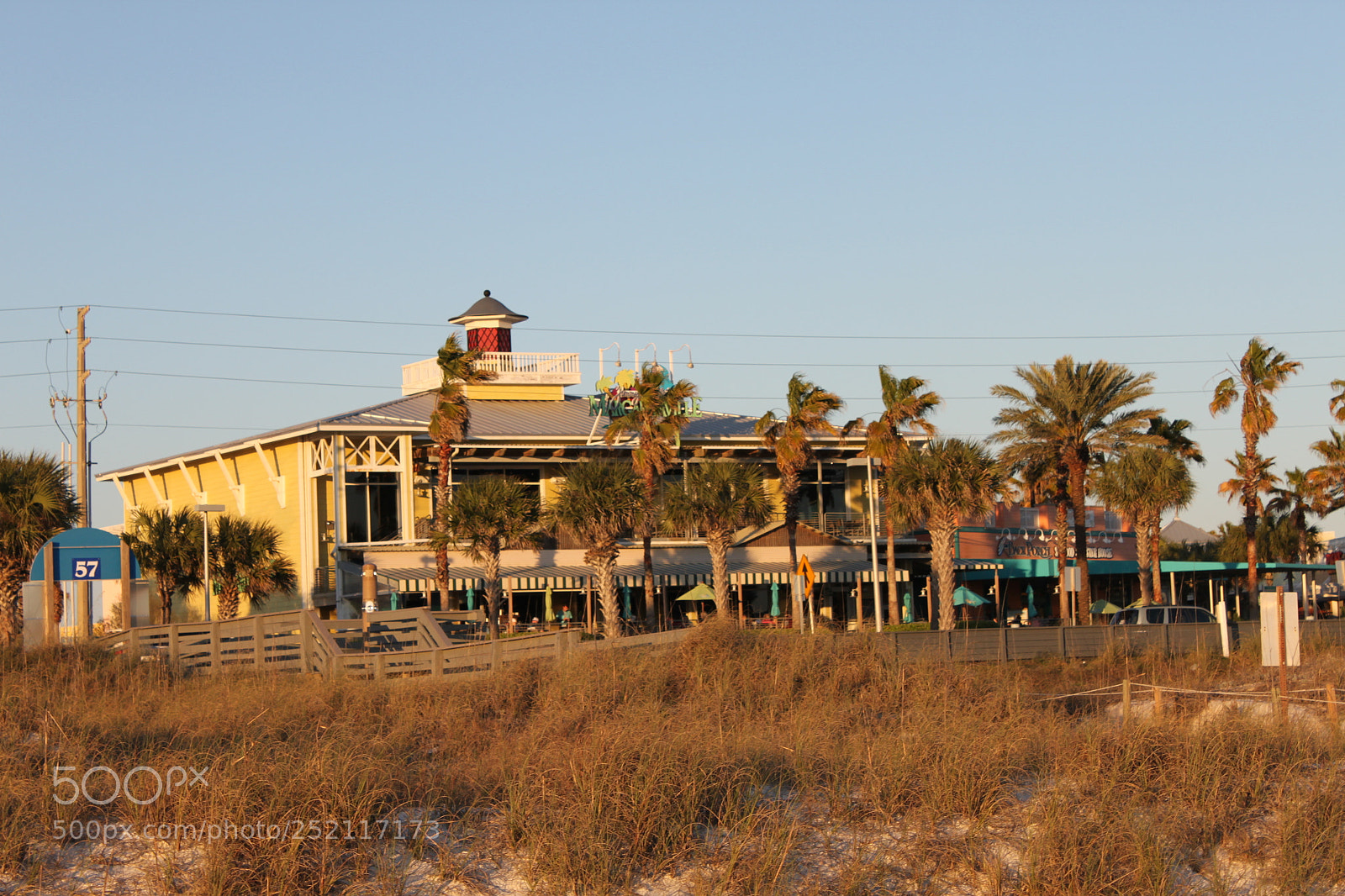 Canon EOS 500D (EOS Rebel T1i / EOS Kiss X3) sample photo. The palms photography
