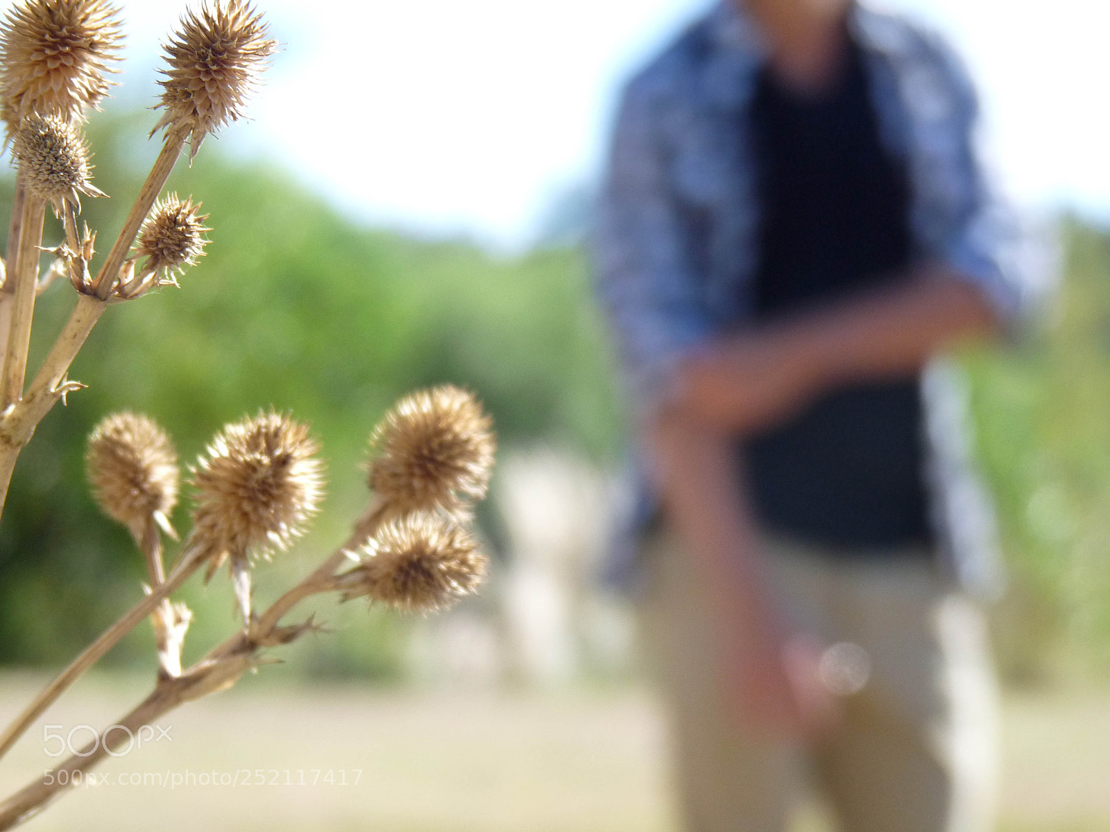 Panasonic Lumix DMC-FZ28 sample photo. Level photography