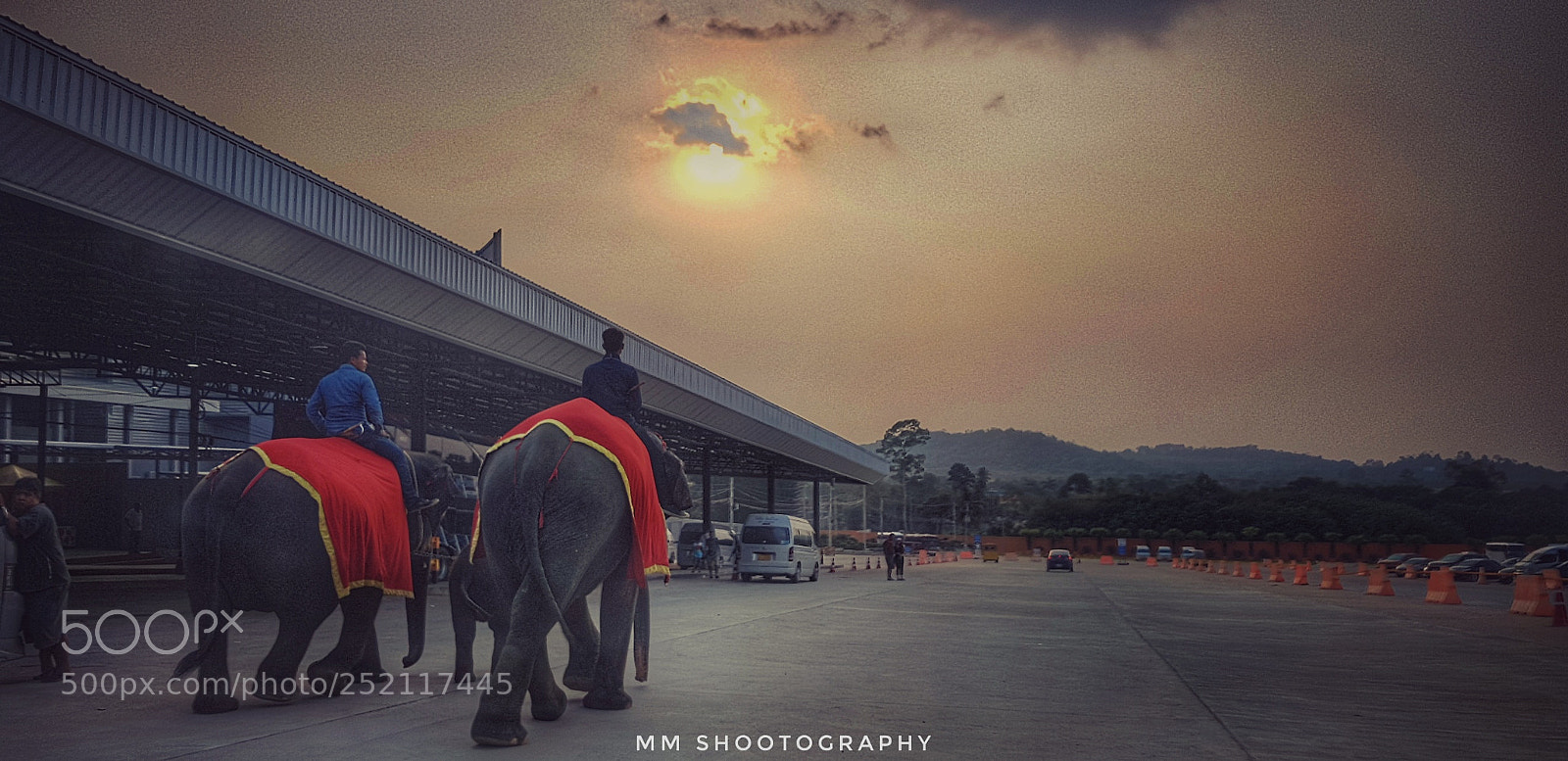 Samsung Galaxy S8+ sample photo. Pleasant walk photography