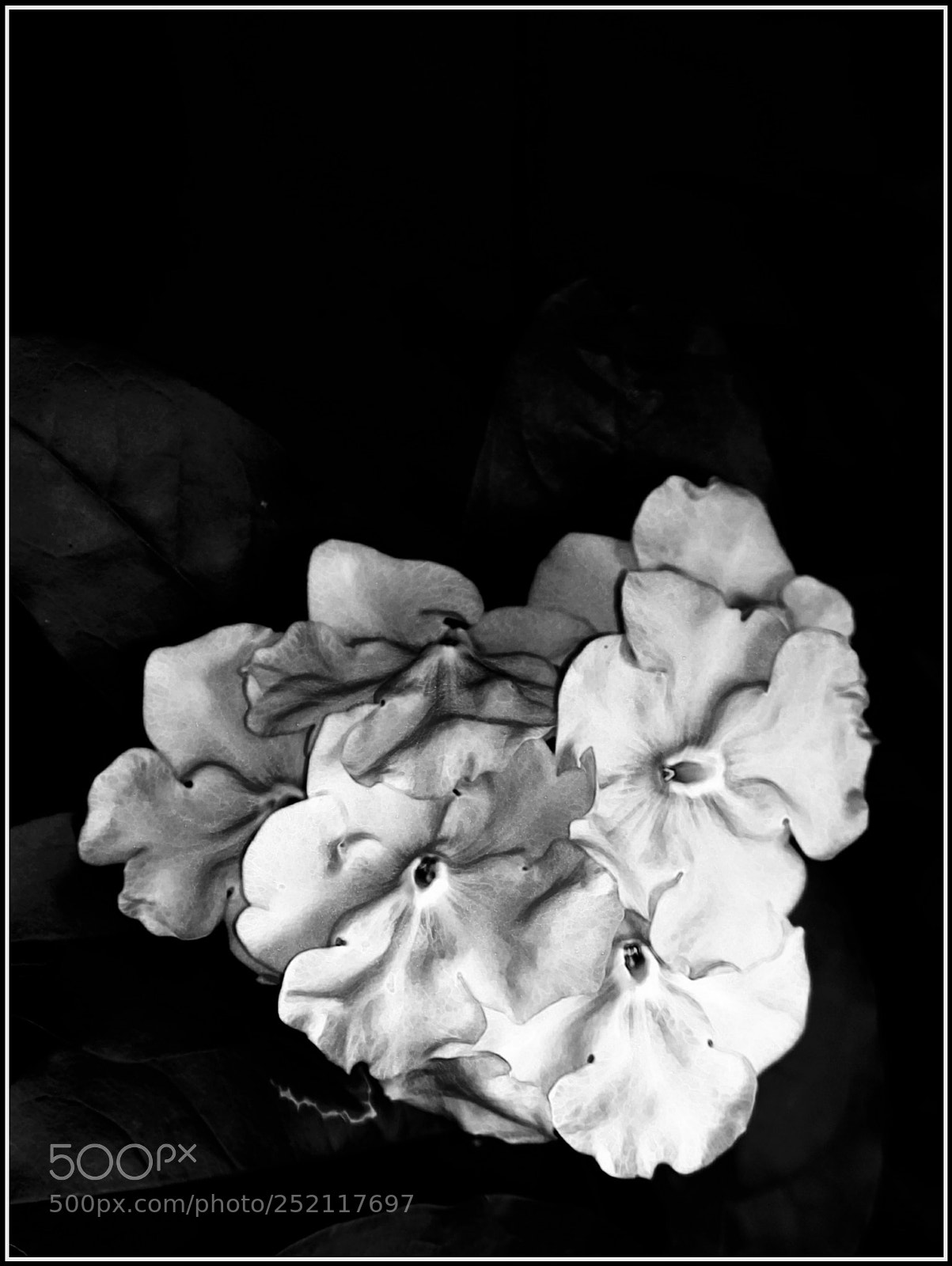 Nikon D5300 sample photo. Boa noite e t photography
