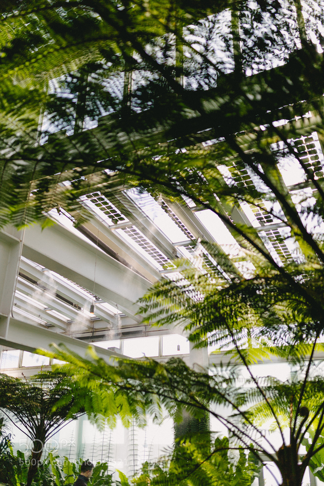Canon EOS 6D Mark II sample photo. Conservatory no. 2 photography