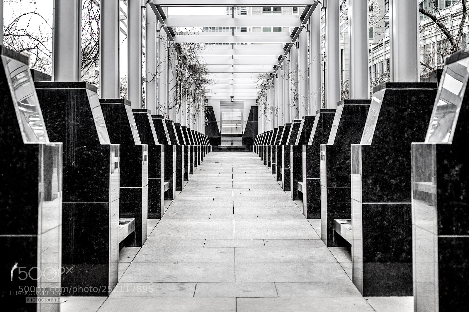 Canon EOS 5D Mark IV sample photo. Montreal walk about photography