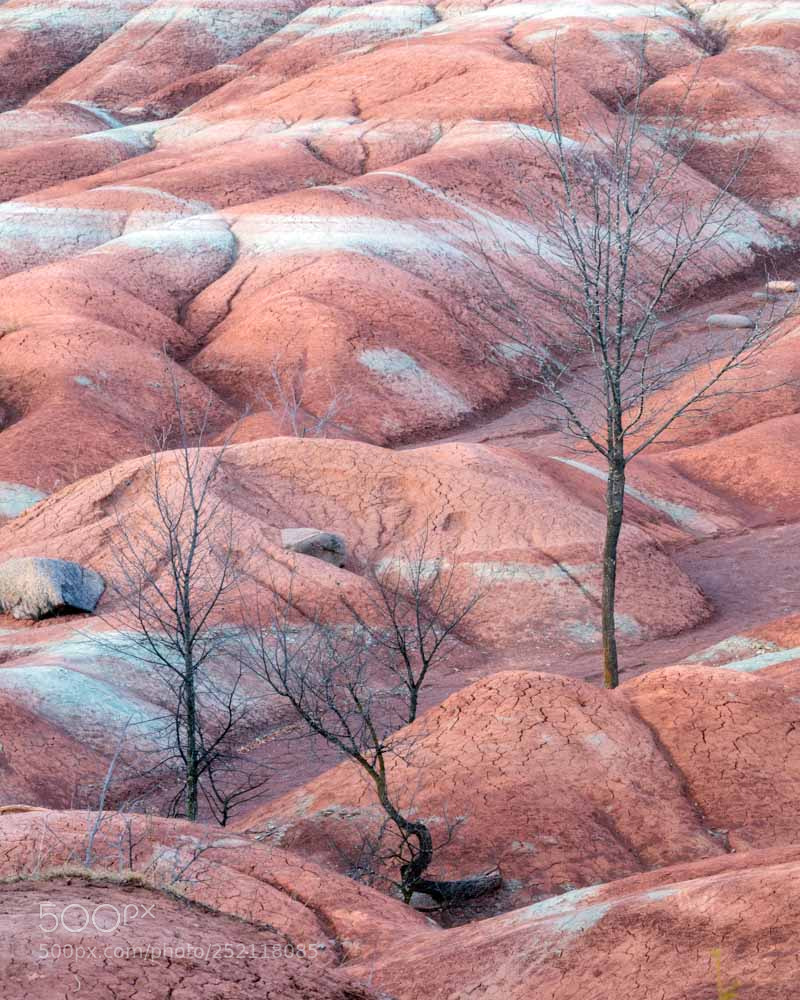 Canon EOS M3 sample photo. Cheltenham badlands photography