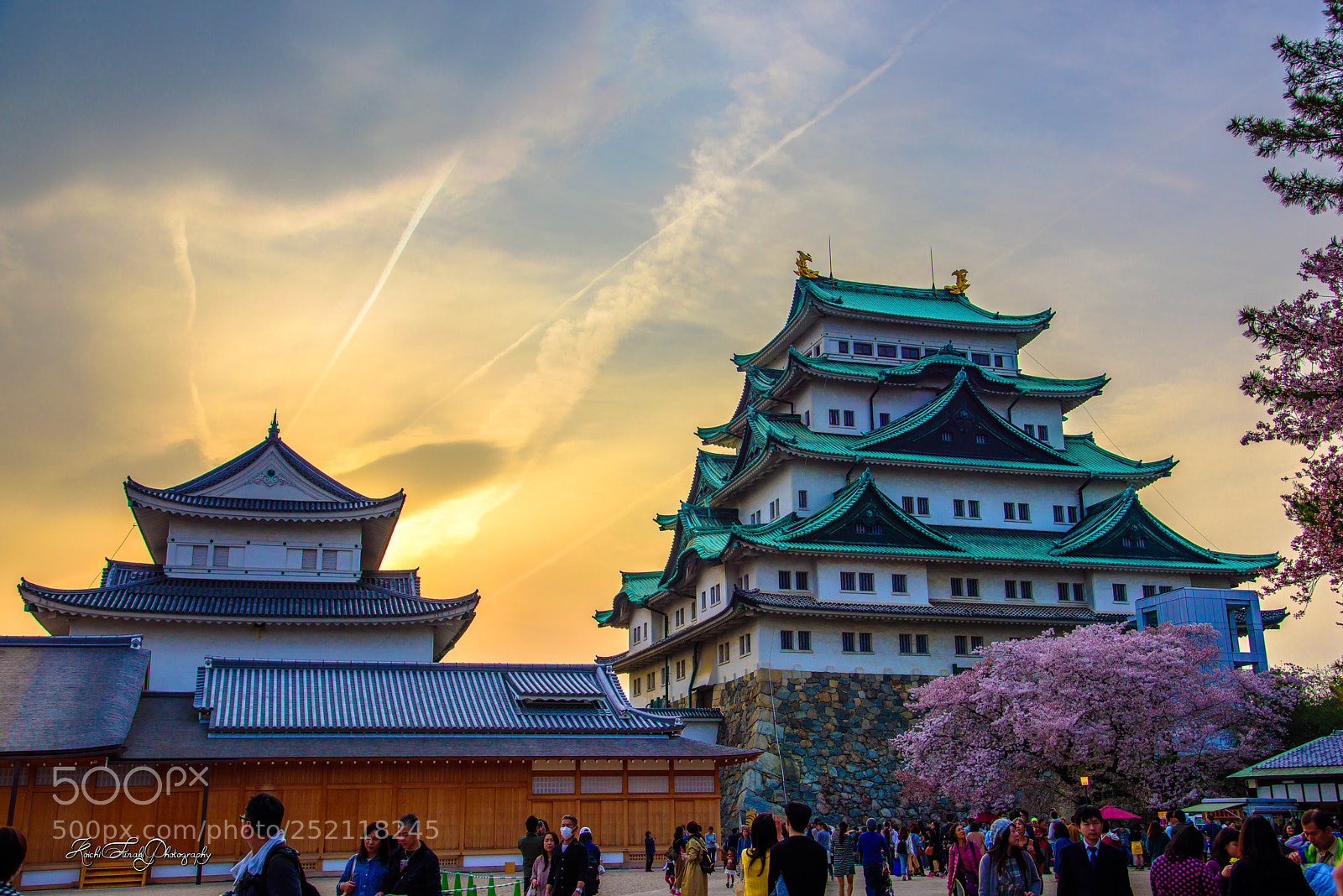 Nikon D810 sample photo. Soon the twilight photography