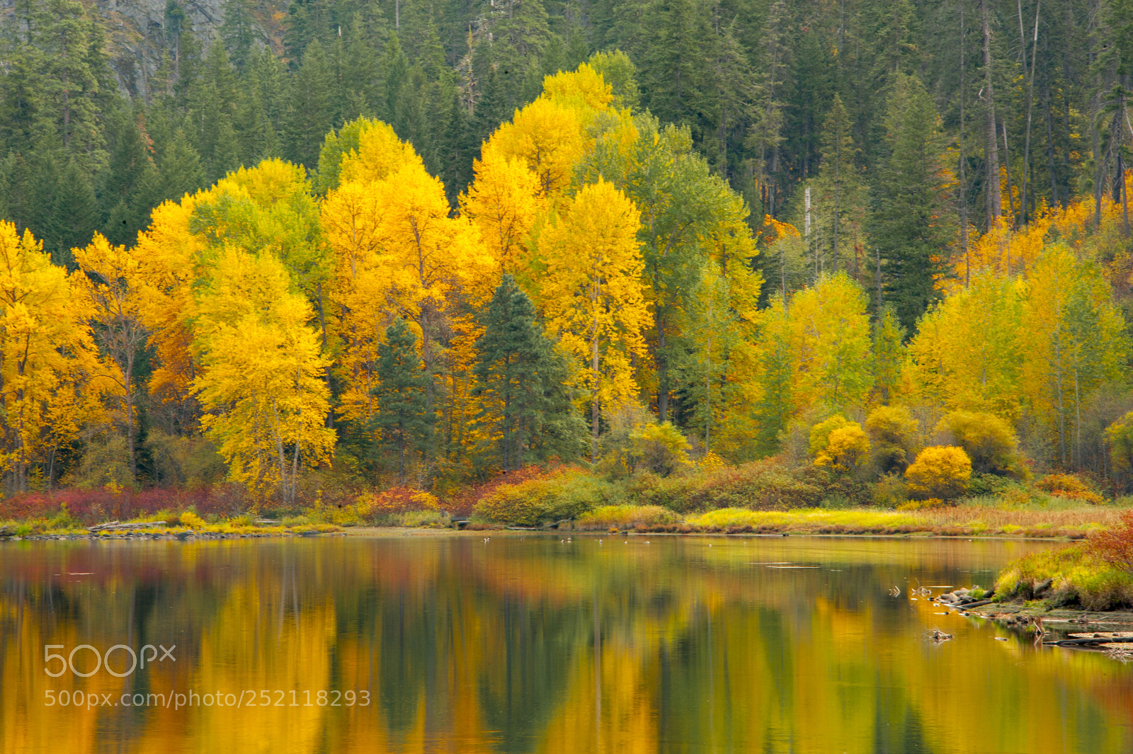 Nikon D700 sample photo. Autumn leaf color, leavenworth photography