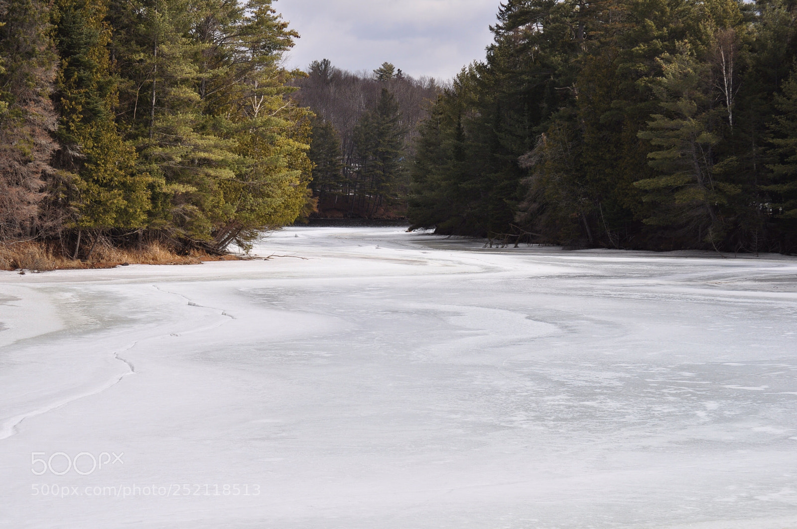 Nikon D5000 sample photo. Frozen  photography