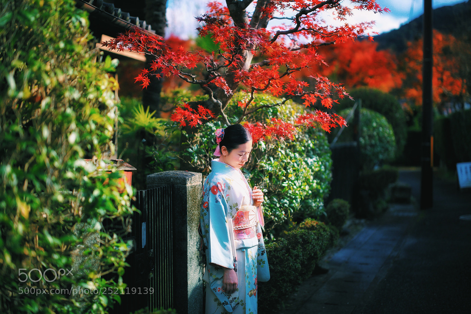 Canon EOS 5D Mark II sample photo. The beauty of the photography