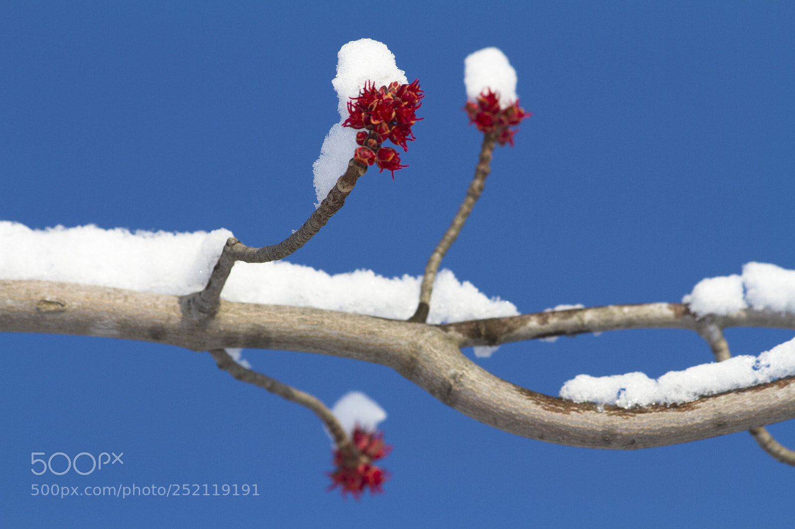 Canon EOS 7D sample photo. Spring photography