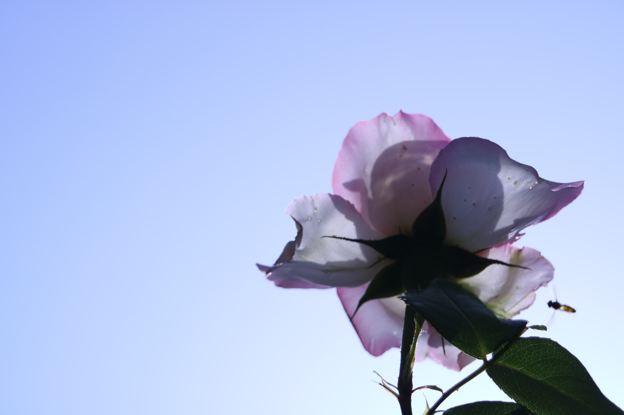 Canon EOS M3 sample photo. Img photography