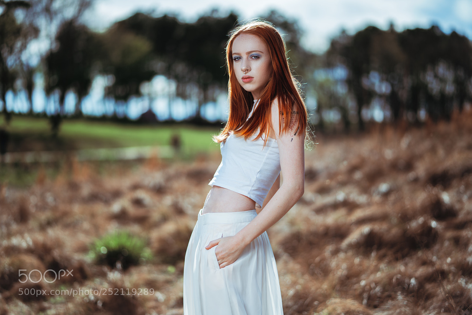 Sony a7R III sample photo. Desert rose photography