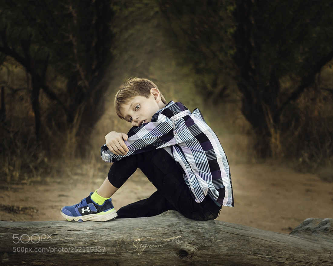 Canon EOS 70D sample photo. David photography