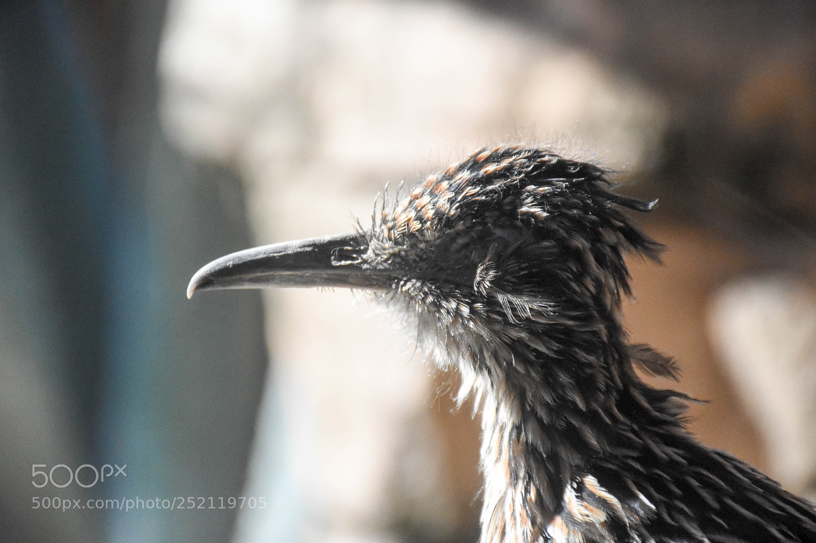 Nikon D7200 sample photo. Nature photography