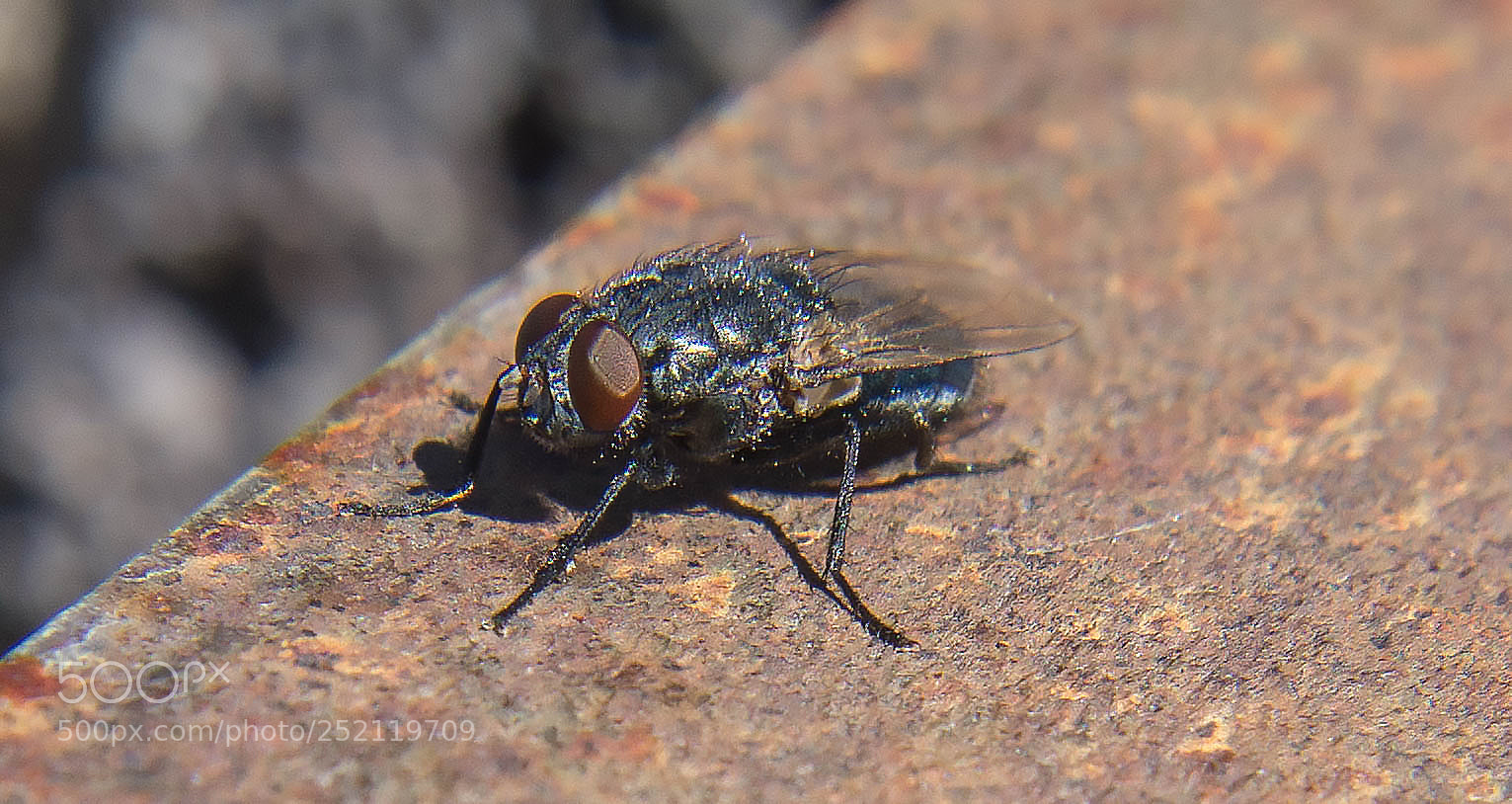 Nikon D7200 sample photo. Nature photography