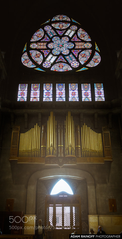 Canon EOS 70D sample photo. Grand organ at our photography