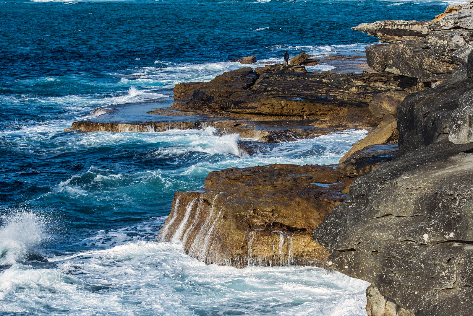 Nikon D800 sample photo. 1.jpg photography