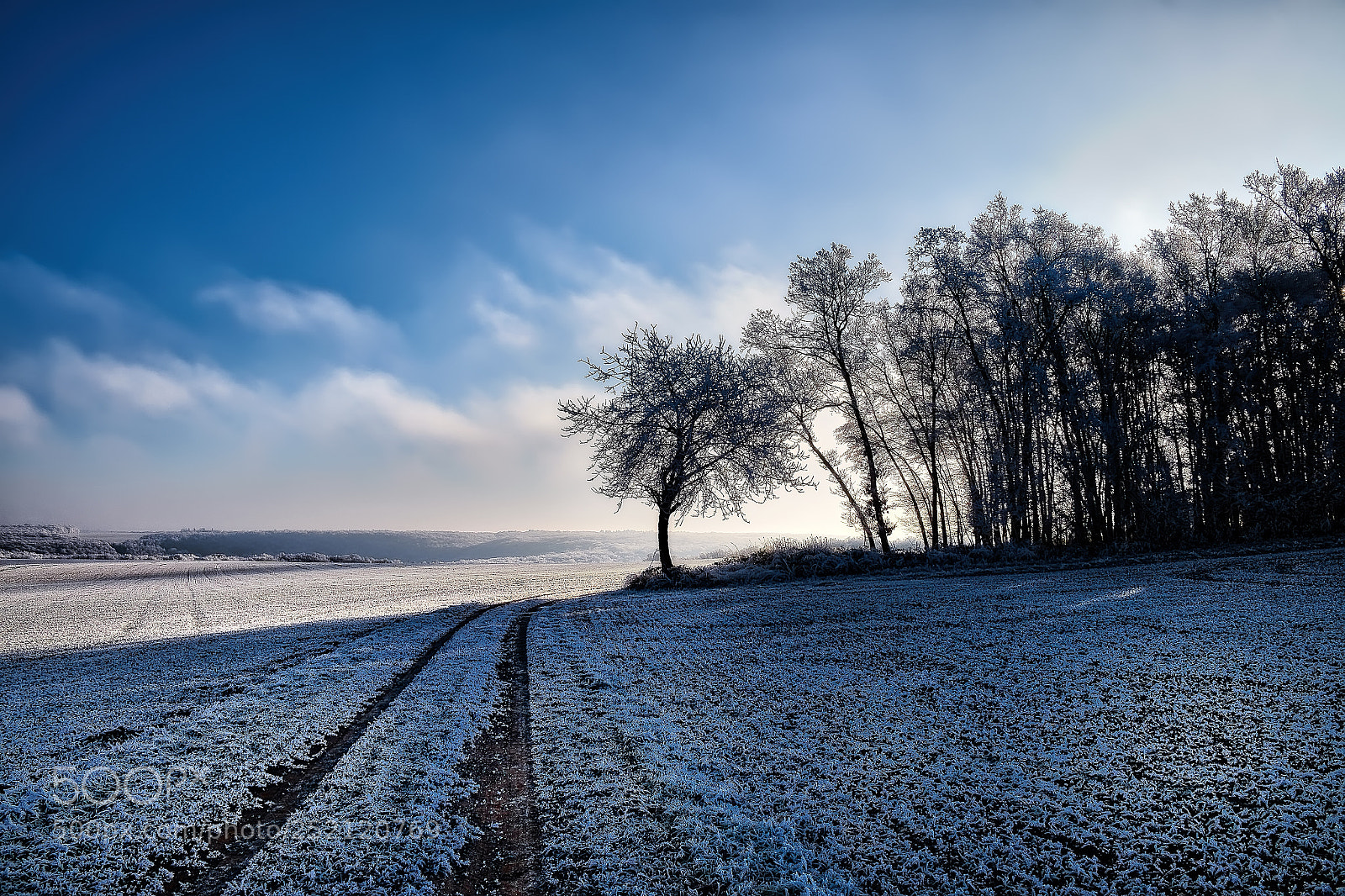 Fujifilm X-T1 sample photo. Neige légère photography