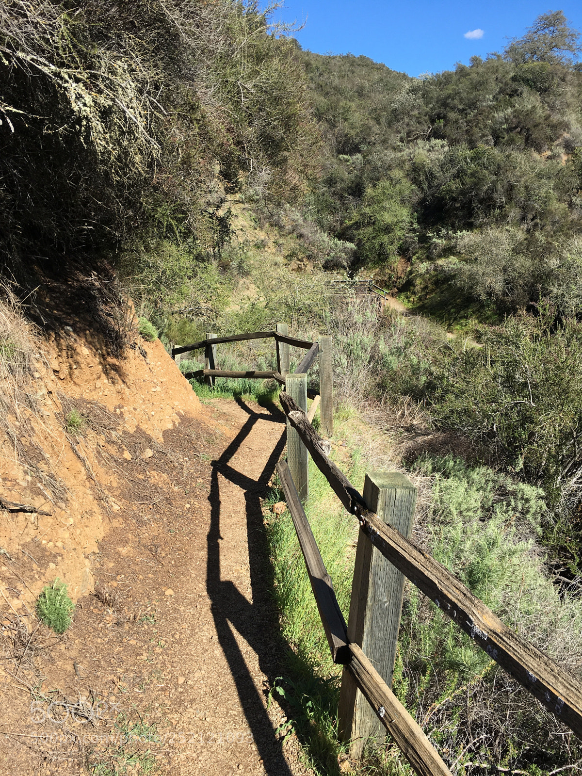 Apple iPhone 6s Plus sample photo. Tony look trail photography