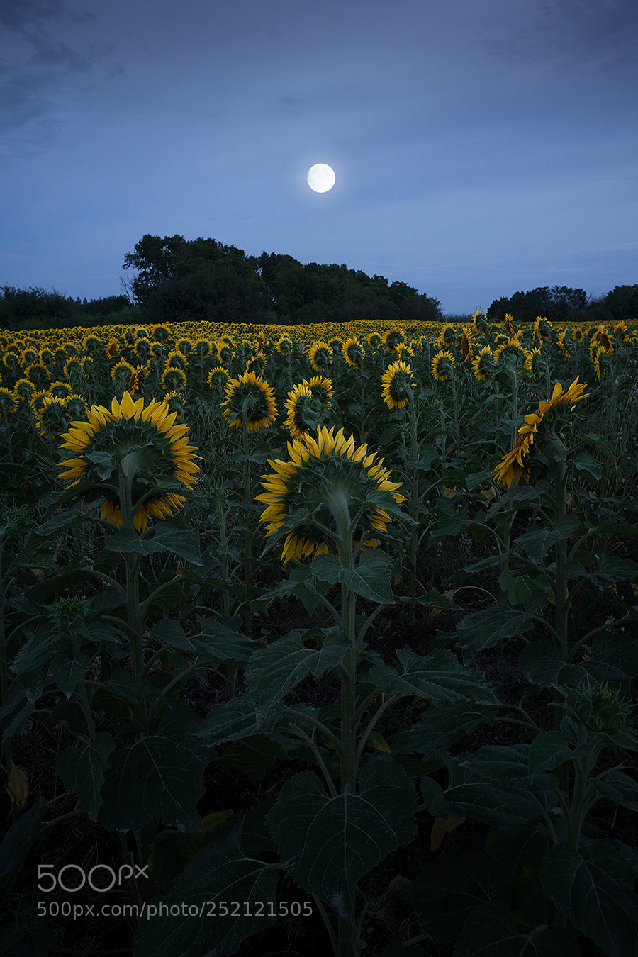Sony a6000 sample photo. To the light #2 photography